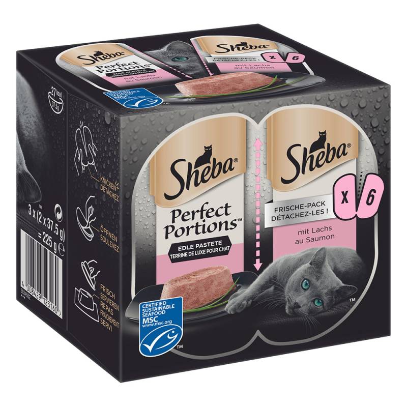 Sheba Perfect Portions 48 x 37,5 g - Pastete mit Lachs von Sheba