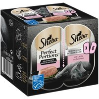 Sheba Perfect Portions Paté 6x37,5g Lachs Sheba Perfect Portions Paté 6x37,5g Lachs von Sheba
