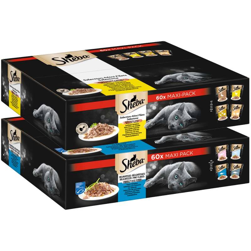 Sheba Portionsbeutel Mega-Multipack in Sauce und Gelee 120x85g von Sheba