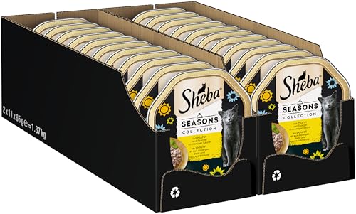SHEBA Schale Nassfutter für Katzen Seasons Collection saisonale Vielfalt 2 x 11 x 85g von Sheba