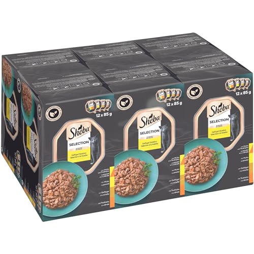 Sheba Selection Katzen Nassfutter in Schale Geflügel Variation Multipack in Sauce 6x12x85g von Sheba