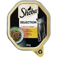 Sheba Selection in Sauce 22x85 g Rind und Truthahn von Sheba