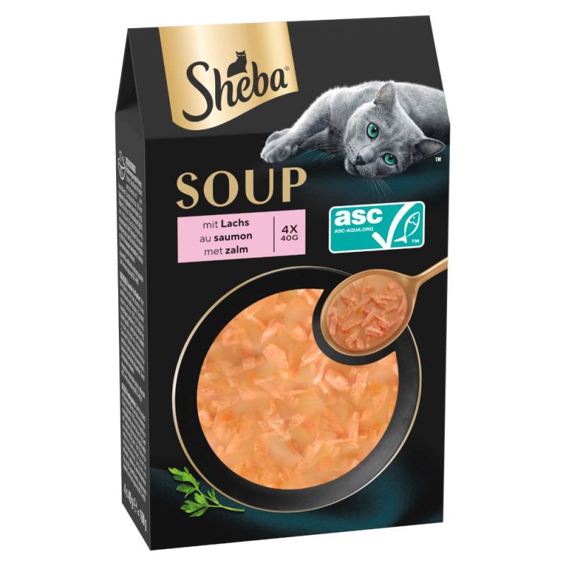 Sparpaket 80 x 40 g Multipack Sheba Classic Soup Frischebeutel - mit Lachs Sparpaket 80 x 40 g Multipack Sheba Classic Soup Frischebeutel - mit Lachs von Sheba