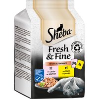 Sparpaket Sheba Fresh & Fine 12 x 50 g - Lachs & Huhn in Sauce von Sheba