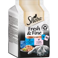 Sparpaket Sheba Fresh & Fine 12 x 50 g - Lachs & Thunfisch in Sauce von Sheba
