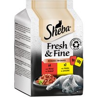 Sparpaket Sheba Fresh & Fine 12 x 50 g - Rind & Huhn in Sauce von Sheba