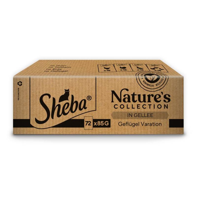 Sparpaket Sheba Nature's Collection 144 x 85 g - Geflügel Variation in Gelee von Sheba