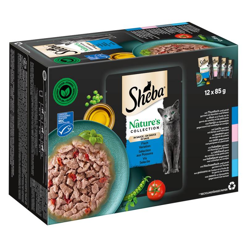 Sparpaket Sheba Nature's Collection in Sauce 48 x 85 g - Fisch Variation (Thunfisch, Lachs, Kabeljau, Hochseefisch) von Sheba