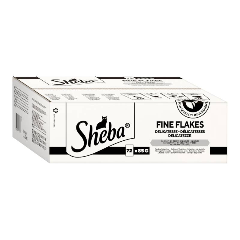 Sparpaket Sheba Portionsbeutel 144 x 85 g - Delikatesse in Gelee Geflügel Variation Sparpaket Sheba Portionsbeutel 144 x 85 g - Delikatesse in Gelee Geflügel Variation von Sheba