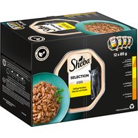 Sparpaket Sheba Varietäten Schälchen 96 x 85 g - Selection in Sauce von Sheba