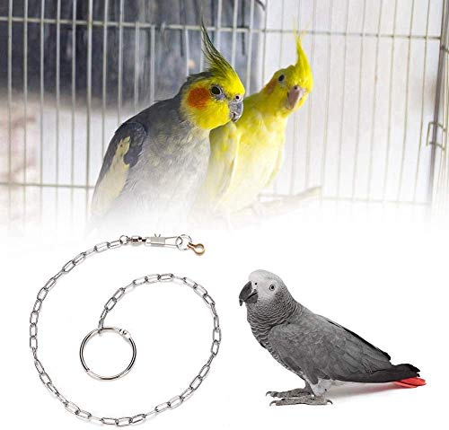 Fußkette für Vögel, Edelstahl, mit Ring, Fußstange, Zubehör, Anti-Ausbruch (Grey Parrot) von Sheens