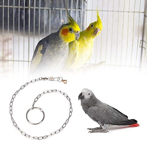 Sheens Edelstahl Vogel Fußkette mit Ring Papagei Knöchel Fuß Ring Zubehör Anti Escape(Little Sun) von Sheens