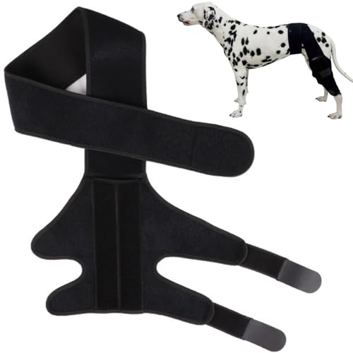 ShengQiu Hunde-Kniebandage für Hinterbeine, verstellbare Hunde-Kniebandage, Cruc/iate Ligament-Stütze, Bein-Wundschutz, Ellenbogen- und Rückenbeinstütze, Beinstabilisator für Gelenkschmerzen und von ShengQiu