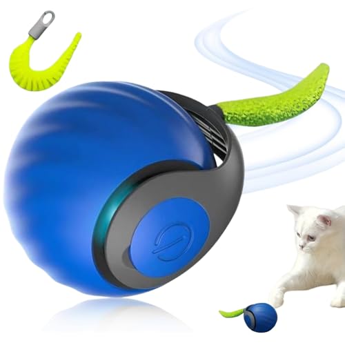 Speedy Tail 2.0 Katzenspielzeug, intelligenter Katzenball, interaktiver Katzenspielzeugball, bewegliches Katzenspielzeug für Indoor-Katzen, wiederaufladbares, interaktives Spielzeug für Katzen, 360° Speedy Tail 2.0 Katzenspielzeug, intelligenter Katzenball, interaktiver Katzenspielzeugball, bewegliches Katzenspielzeug für Indoor-Katzen, wiederaufladbares, interaktives Spielzeug für Katzen, 360° von ShengQiu