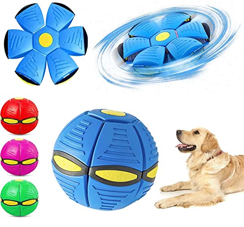 Shengruili Fliegender Ball für Hunde,Haustier Spielzeug Frisbee Ball,Fliegend Untertasse Ball Spielzeug für Hunde,Pet Toy Frisbee Ball Hund,Interaktives Fliegend Untertassen Ball Hundespielzeug von Shengruili