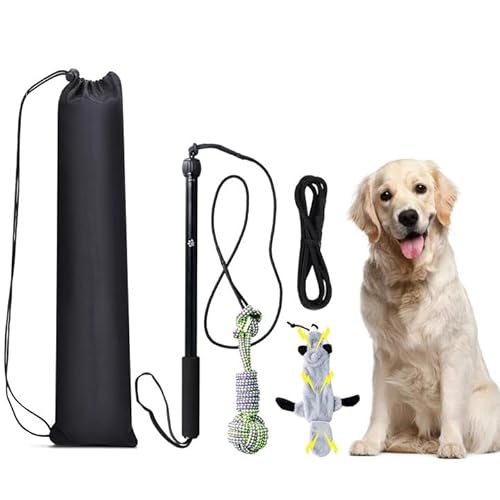 Shengxi Profi Reizangel für Hunde, Interaktive Hundespielzeug Hochwertige Reizangel Hund mit Robustes Kauspielzeug Seil und Quietschendes Plüschtiere für Kleine Mittlere Große Hunde Shengxi Profi Reizangel für Hunde, Interaktive Hundespielzeug Hochwertige Reizangel Hund mit Robustes Kauspielzeug Seil und Quietschendes Plüschtiere für Kleine Mittlere Große Hunde von Shengxi