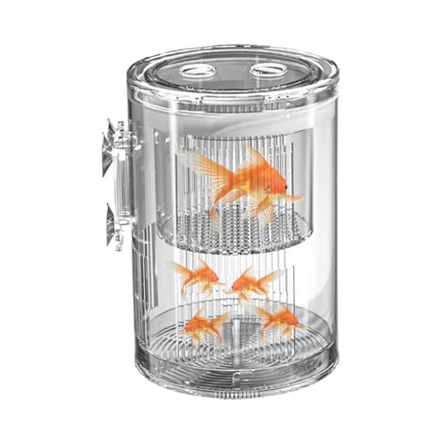 Aquarium Laichbox,Aquarium Abtrennbox | Acryl Zuchtbehälter Für Kampffische Guppys Killifische Mit Beobachtungsfunktion Zur Schlupfkontrolle Und Eingewöhnung Aquarium Laichbox,Aquarium Abtrennbox | Acryl Zuchtbehälter Für Kampffische Guppys Killifische Mit Beobachtungsfunktion Zur Schlupfkontrolle Und Eingewöhnung von Shenrongtong