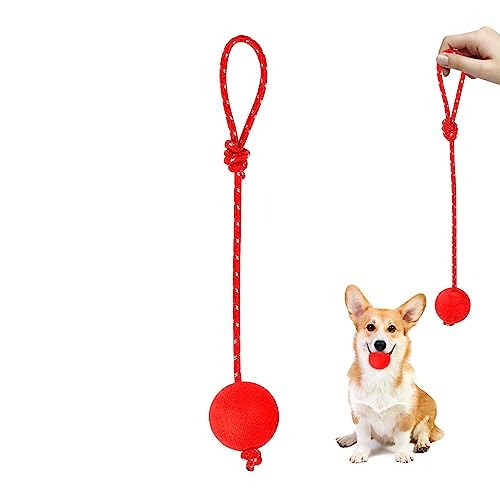 Ball mit Seil Hundespielzeug - Interaktive Gummibälle - Elastisches, solides Kauspielzeug zum Trainieren des Fangens und Apportierens, Hundespielzeug mit Ball am Seil für kleine bis große von Shenrongtong