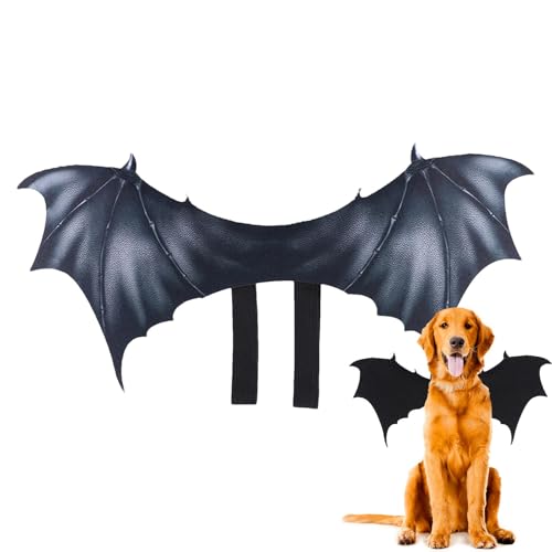 Fledermausflügel Haustierkostüm – Fledermausflügel Bekleidung Hund Cosplay Kostüm – Fledermausbekleidung Haustier Verkleidung für Halloween Kostüm Zubehör Fledermausflügel Haustierkostüm – Fledermausflügel Bekleidung Hund Cosplay Kostüm – Fledermausbekleidung Haustier Verkleidung für Halloween Kostüm Zubehör von Shenrongtong