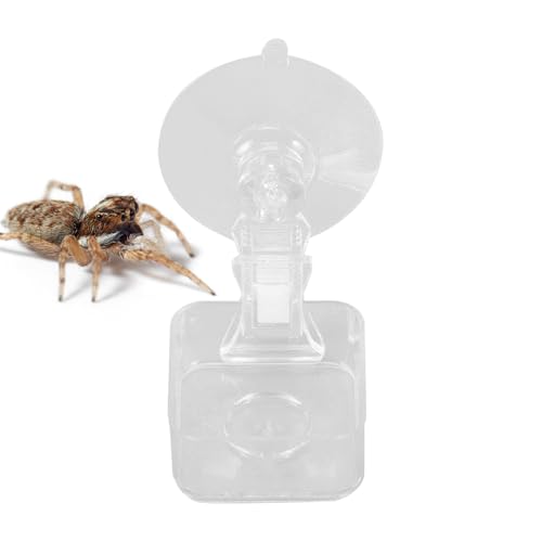 Futterautomat - Kleine Reptilien-Futterschale Mit Saugnapf - Terrarium-Dekoration, Trinkschale und Wassernapf für Echsen, Spinnen, Laubfrösche von Shenrongtong
