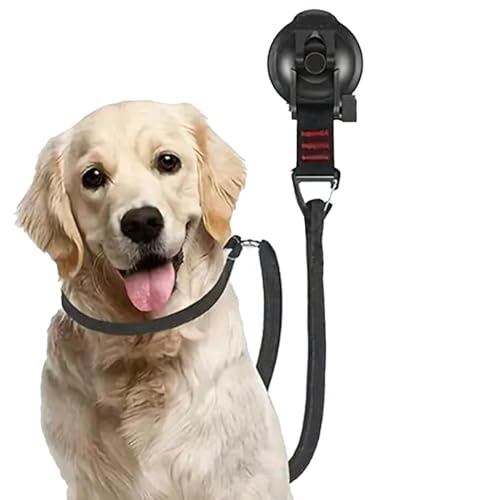 Hunde-Badegurt mit Saugnapf, Hundepflege-Badewannen-Rückhaltevorrichtung,Saugnapf-Haltegurte für sicheres Baden | Verstellbare Bauchgurte für die Hundepflege für kleine und mittelgroße Hunde-Badegurt mit Saugnapf, Hundepflege-Badewannen-Rückhaltevorrichtung,Saugnapf-Haltegurte für sicheres Baden | Verstellbare Bauchgurte für die Hundepflege für kleine und mittelgroße von Shenrongtong