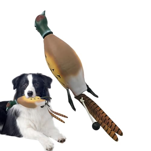 Hundejagd-Trainingsspielzeug,Hunde-Stoßstangen zum Wasserholen - Hunde-Retriever-Trainingsspielzeug,Jagdhundezubehör, Entenspielzeug für Hunde, Simulationstier in Form für Welpen Hundejagd-Trainingsspielzeug,Hunde-Stoßstangen zum Wasserholen - Hunde-Retriever-Trainingsspielzeug,Jagdhundezubehör, Entenspielzeug für Hunde, Simulationstier in Form für Welpen von Shenrongtong