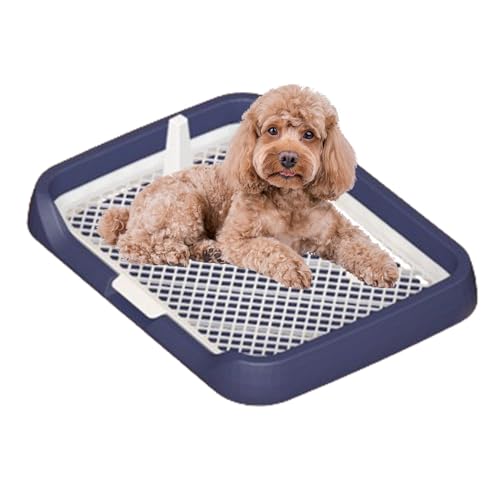 Hundetoilette Indoor - Pee Pad Flat Potty Tray for Dogs with Mesh Grids | Easy Installation Reusable Pet Potty Supplies, Pee Holder with Removable Column for Dogs, Puppies, Pets von Shenrongtong