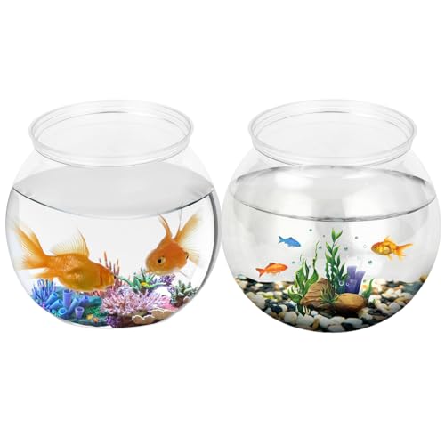 Klare Goldfischschale, runder Fischtank, Hydroponic Pflanzerbehälter Fischküste, Aquarien Vase -Pflanzen -Tanks, Fischlebensschale für Mittelstücke Home Office Tischdekoration Klare Goldfischschale, runder Fischtank, Hydroponic Pflanzerbehälter Fischküste, Aquarien Vase -Pflanzen -Tanks, Fischlebensschale für Mittelstücke Home Office Tischdekoration von Shenrongtong