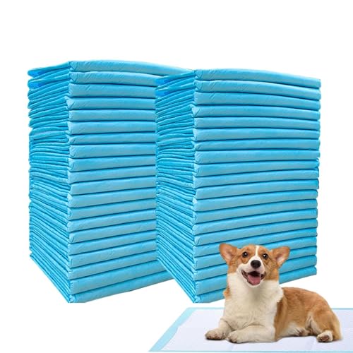 Shenrongtong Hunde-PIPI-Pads, Töpfchen-Pads für Hunde, Töpfchentrainingsmatte für Hunde, Ultra saugfähige Hunde-PIPI-Pads, auslaufsichere, geruchshemmende Welpen-Trainingspads, schnell trocknende Shenrongtong Hunde-PIPI-Pads, Töpfchen-Pads für Hunde, Töpfchentrainingsmatte für Hunde, Ultra saugfähige Hunde-PIPI-Pads, auslaufsichere, geruchshemmende Welpen-Trainingspads, schnell trocknende von Shenrongtong