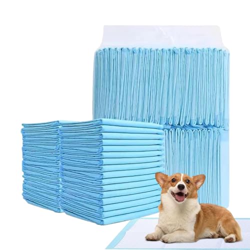 Shenrongtong Hunde-PIPI-Pads, Töpfchen-Pads für Hunde | Töpfchen-Trainingsunterlagen für kleine Hunde | Super saugfähige Haustierwindel, Hundetrainings-PIPI-Pads, verdickte Windelpads für Katzen, Shenrongtong Hunde-PIPI-Pads, Töpfchen-Pads für Hunde | Töpfchen-Trainingsunterlagen für kleine Hunde | Super saugfähige Haustierwindel, Hundetrainings-PIPI-Pads, verdickte Windelpads für Katzen, von Shenrongtong