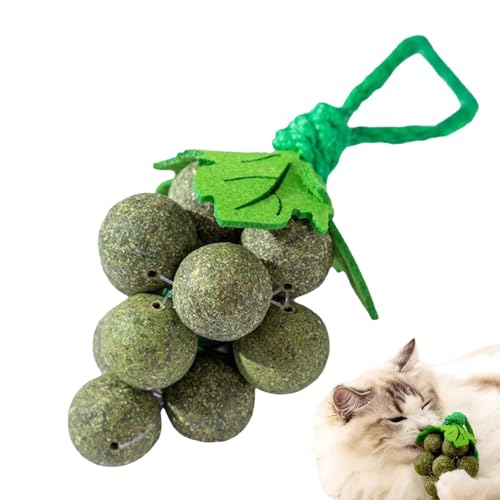 Shenrongtong Käfigbälle & Katzenminze-Ballspielzeug, Katzenminze für Katzen,Effektiver handgemachter Katzenminzeball | Katzenspielzeugball beseitigt Haarballen, reich an Pflanzenfasern für gesundes von Shenrongtong