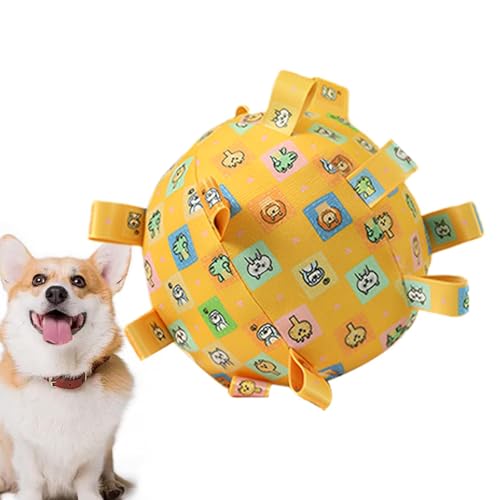 Soccer Ball Hundespielzeug, Quietschendes Hundespielzeug, interaktives Ballspielzeug für kleine und mittelgroße Hunde, Welpenkauspielzeug, quietschende Hundebälle Soccer Ball Hundespielzeug, Quietschendes Hundespielzeug, interaktives Ballspielzeug für kleine und mittelgroße Hunde, Welpenkauspielzeug, quietschende Hundebälle von Shenrongtong