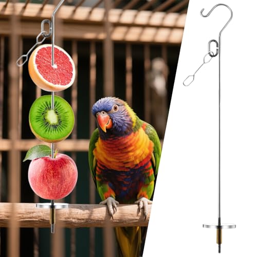 Vogelkäfig Futterhalter - Obstfütterung Edelstahl Spießhalter | Bereicherungsspielzeug Mit Futtersuche Für Käfigvögel Als Innendekoration Für Wellensittiche, Kanarienvögel Und Sittiche von Shenrongtong