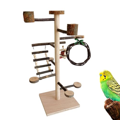 Vogelspielständer, Holz Spielständer für Papageien, Vogelspielplatz Training Holzständer Sitzstange für Nymphensittiche, Lovebird, Sittiche von Shenrongtong