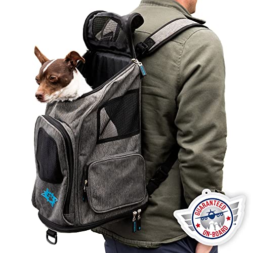 Sherpa 2-in-1-Rucksack für Haustiere, von Fluggesellschaften zugelassen, maschinenwaschbar, Netzfenster, Sicherheitsschlösser, Federrahmen, Grau, Größe M Sherpa 2-in-1-Rucksack für Haustiere, von Fluggesellschaften zugelassen, maschinenwaschbar, Netzfenster, Sicherheitsschlösser, Federrahmen, Grau, Größe M von Sherpa