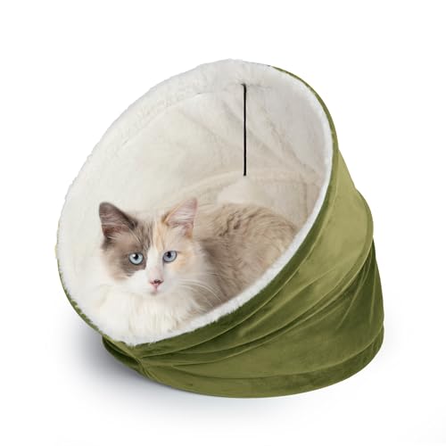 Gemütliches Katzenhaus von Sherry Kline Pet Collection, erhältlich in 5 Farben aus Samt mit natürlichem Sherpa- und baumelndem Fellball, abnehmbares Sitzkissen zur Reinigung. Gemütliches Katzenhaus von Sherry Kline Pet Collection, erhältlich in 5 Farben aus Samt mit natürlichem Sherpa- und baumelndem Fellball, abnehmbares Sitzkissen zur Reinigung. von Sherry Kline