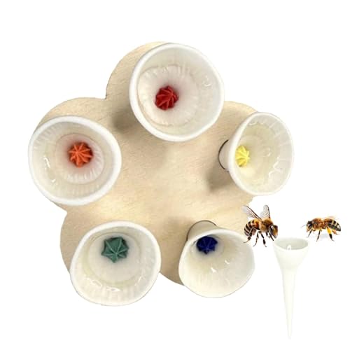 Bienen Insekten Trinkbecher | Bienentrinkbecher für den Garten | Insektentrinkstation für durstige Biene | Bienen Insektenhotel & Futterstation | Bienenbecher sammeln einen Teelöffel Wasser von Shichangda