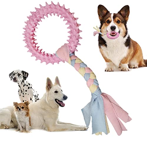 Shichangda Quietschspielzeug für Hunde, Süße Ringform TPR, Gute Elastizität und Interaktivität, Hundekauspielzeug mit rundem Design zum Zähneknirschen von Hunden und Welpen, quietschendes Spielzeug von Shichangda
