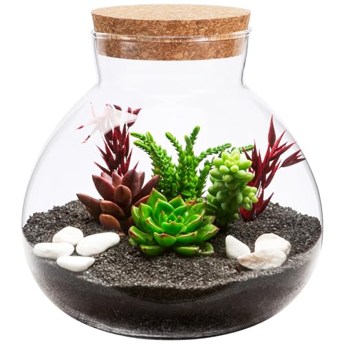 1 x Moospflanzflasche, kugelförmiges Glasgefäß mit Korkdeckel, für Farn, Moos, Sukkulenten, Luftpflanzen, Glasvase (kein Licht) von Shidongbla