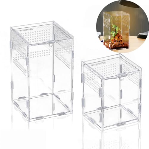 2 Stück Terrarium Brutkasten Set Acryl Transparent Insekten Futterbox in 2 Größen zur Aufzucht von Reptilien und Insekten von Shidongbla