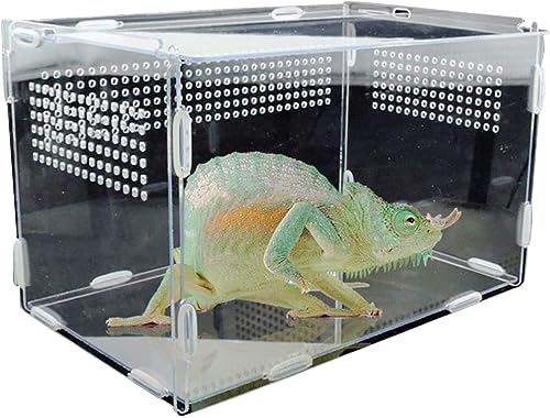 Acryl Reptilien Futterbox Insektenfutterbox mit Luftlöchern für Schnecken, Geckos, Mantisen, Eidechsen (L) von Shidongbla