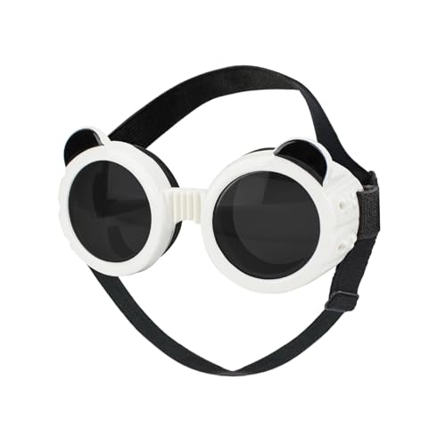 Shienfir Antibeschlag-Hundebrille, Hundebrille, 1 Paar, Winddicht, UV-beständig, verstellbare Träger, für kleine und mittelgroße Hunde, Welpen-Hunde-Sonnenbrille Weiß Shienfir Antibeschlag-Hundebrille, Hundebrille, 1 Paar, Winddicht, UV-beständig, verstellbare Träger, für kleine und mittelgroße Hunde, Welpen-Hunde-Sonnenbrille Weiß von Shienfir