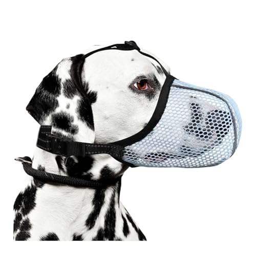 Shienfir Extra großer Hundemaulkorb, verstellbare Leine, atmungsaktives Netzgewebe gegen Bellen, Kauen, Beißen, reflektierendes Nylon-Design Hellblau M Shienfir Extra großer Hundemaulkorb, verstellbare Leine, atmungsaktives Netzgewebe gegen Bellen, Kauen, Beißen, reflektierendes Nylon-Design Hellblau M von Shienfir