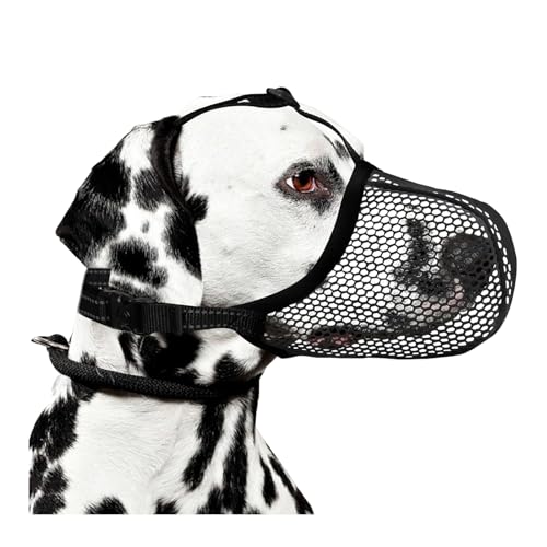 Shienfir Extra großer Hundemaulkorb, verstellbare Leine, atmungsaktives Netzgewebe gegen Bellen, Kauen, Beißen, reflektierendes Nylon-Design Schwarz M Shienfir Extra großer Hundemaulkorb, verstellbare Leine, atmungsaktives Netzgewebe gegen Bellen, Kauen, Beißen, reflektierendes Nylon-Design Schwarz M von Shienfir