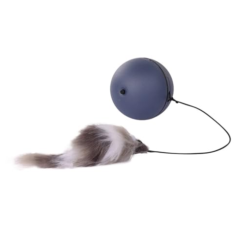 Shienfir Gesundes Spielen für Haustiere, rollendes Ballspielzeug, automatische Katze, interaktive intelligente Bewegung mit aktivierter Schwanzbewegung, elektrische Haustierbereicherung für Hunde D Shienfir Gesundes Spielen für Haustiere, rollendes Ballspielzeug, automatische Katze, interaktive intelligente Bewegung mit aktivierter Schwanzbewegung, elektrische Haustierbereicherung für Hunde D von Shienfir