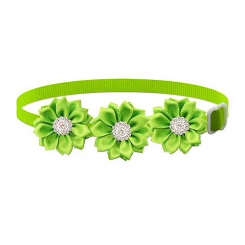 Shienfir Haustier-Halsband, Strass-Hundehalsband, verstellbar, Blumenmuster, Strass, Haustierhalsband für Katzen, Hunde, modisch, leicht, Haustierzubehör, Grün Shienfir Haustier-Halsband, Strass-Hundehalsband, verstellbar, Blumenmuster, Strass, Haustierhalsband für Katzen, Hunde, modisch, leicht, Haustierzubehör, Grün von Shienfir