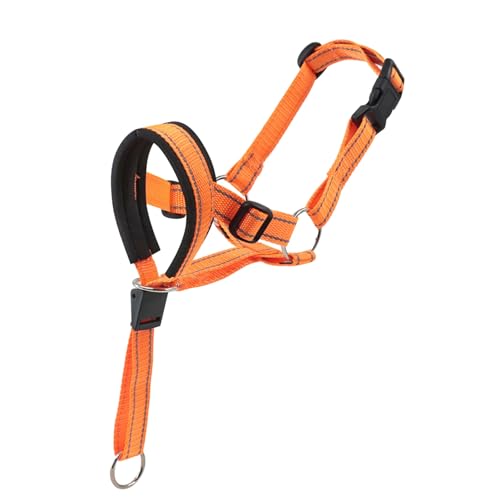 Shienfir Maulkorb für Hunde, verstellbare Schnalle, Verstellbarer Maulkorb für Hunde, bequemer, bissfester, atmungsaktiver Mundschutz, einfach an- und auszuziehen Orange M Shienfir Maulkorb für Hunde, verstellbare Schnalle, Verstellbarer Maulkorb für Hunde, bequemer, bissfester, atmungsaktiver Mundschutz, einfach an- und auszuziehen Orange M von Shienfir