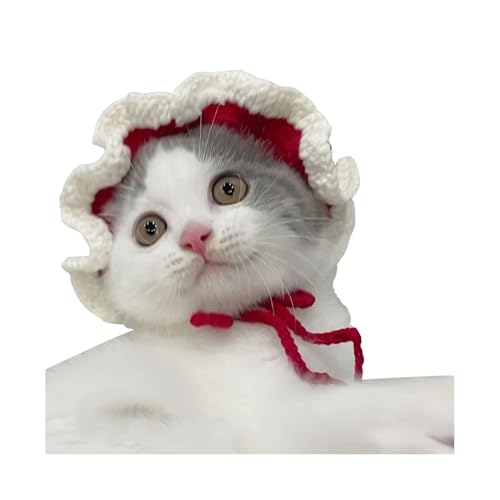 Shienfir Wollmütze für kleine Hunde, Winter-Kopfbedeckung für kleine Hunde, handgefertigt, gestrickt, Haustiermütze für kleine Katzen, Hunde, Winter-Wärme-Stil D M Shienfir Wollmütze für kleine Hunde, Winter-Kopfbedeckung für kleine Hunde, handgefertigt, gestrickt, Haustiermütze für kleine Katzen, Hunde, Winter-Wärme-Stil D M von Shienfir