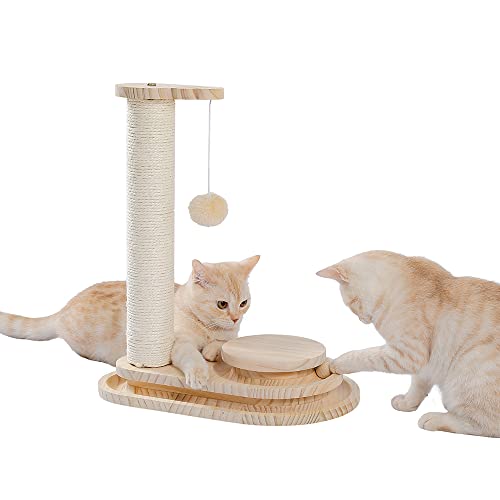 Shifan Lustiges Katzenspielzeug mit Ball für Katzen, Kätzchen, Briefkasten, natürliches Sisal, interaktives Spielzeug für kleine Katzen, gemütliches Nest aus Massivholz von Shifan