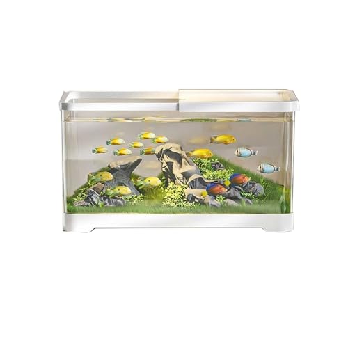 Aquarium Aquarium Desktop Transparent Acryl Aquarium Mit Deckel Und Basis Kleine Wohnzimmer Haushalt Fischzucht Tank Fischtank(Weiß,Groß) von Shihan-2015